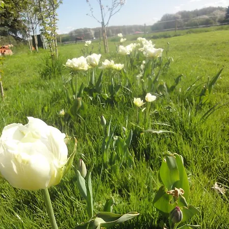 Διαμέρισμα Country *