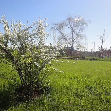 Country Colonia