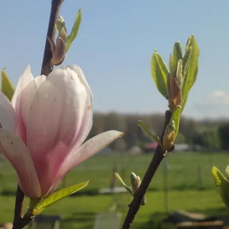 Apartamento Country *