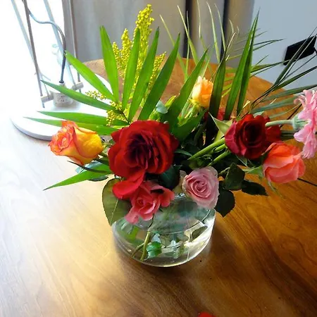 Διαμέρισμα Country Κολωνία