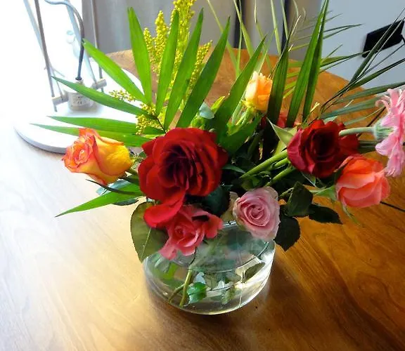 아파트 Country 쾰른