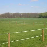 Country