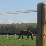 Country
